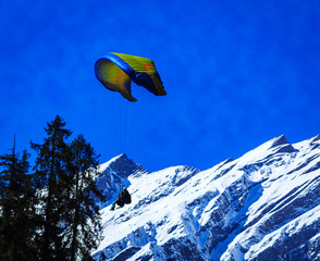 paragliding over Himalayas at Solang Valley near Manali India