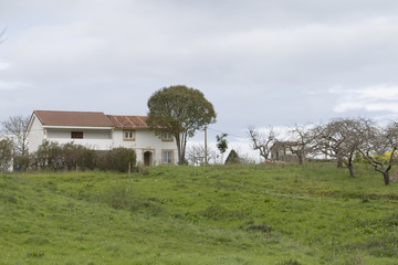 Obraz premium House in a village