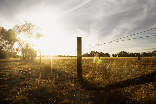 Sunset at a farm in the bush with long fence and flare, Grampians, Victoria, Australia