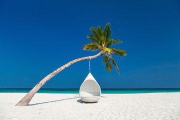 Beautiful tropical beach in Maldives - obrazy, fototapety, plakaty