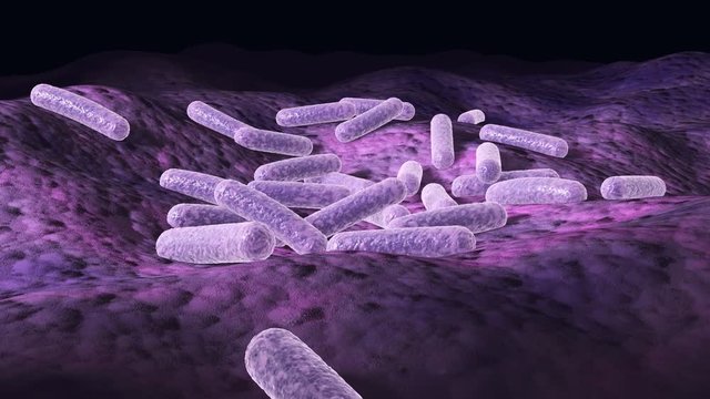 Microscopic 3d animation of bacteria on a surface, 360 degree loop video