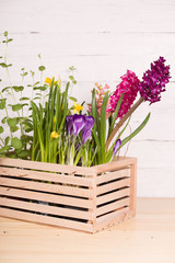 Beautiful spring flowers