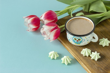 Red tulip white white border on blue background cacao cup marshmallow.
