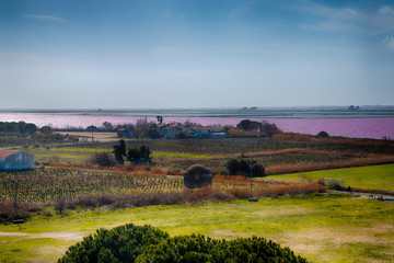 Les étangs roses des Salins du Midi vu depuis les remparts de Aigues Mortes