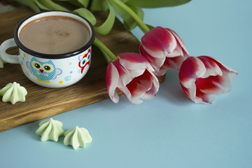 Red tulip white white border on blue background cacao cup marshmallow.
