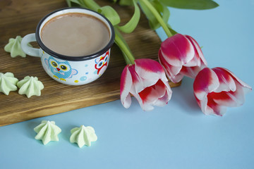 Red tulip white white border on blue background cacao cup marshmallow.