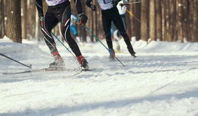 Ski competition - legs of sportsmen running on snowy sunny forest
