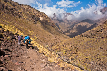 Mule riding on a track in Toubkal National Park at High Atlas mountains, Morocco, North Africa