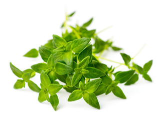 fresh herb, fresh thyme isolated on white