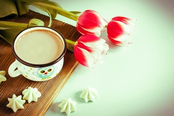 Red tulip white white border on blue background cacao cup marshmallow.