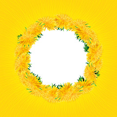Wreath dandelions isolated, Summer card, yellow sun background. Floral card with white place for text. All objects are editable, Vector illustration