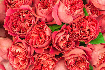 Beautiful roses lylies boquet background