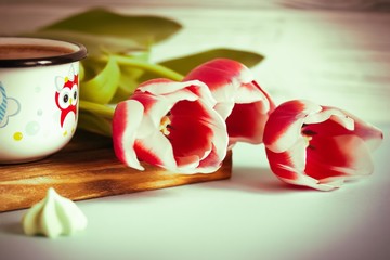 Red tulip white white border on blue background cacao cup marshmallow.