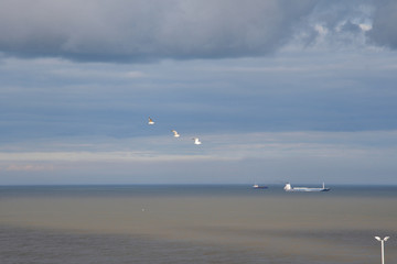 beach rock sand  coast at the see ocean 