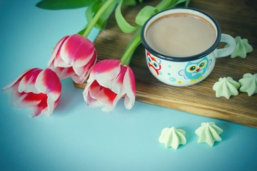 Red tulip white white border on blue background cacao cup marshmallow.