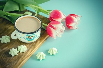 Red tulip white white border on blue background cacao cup marshmallow.