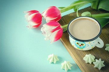 Red tulip white white border on blue background cacao cup marshmallow.