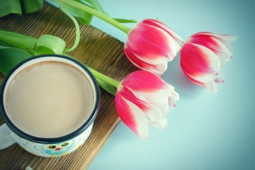 Red tulip white white border on blue background cacao cup marshmallow.