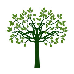 Green Tree with Leaves. Vector Illustration and graphic element.