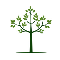 Obraz premium Green Tree with Leaves. Vector Illustration.