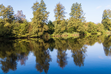 Fototapeta na wymiar Park mit See und satten grünen Bäumen am Ufer bei sonnigem Wetter