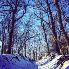Schnee auf dem Donnersberg