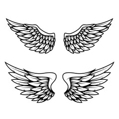 Set of wings isolated on white background. Design element for logo, label, emblem, sign.