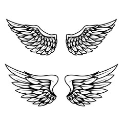 Set of wings isolated on white background. Design element for logo, label, emblem, sign.