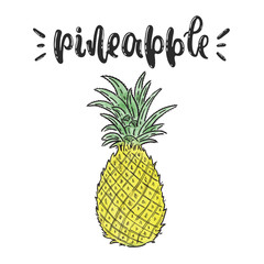 Vector hand drawn illustration. Pineapple lettering, fruit. The idea for poster, posctcard.