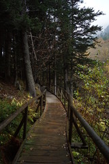 Ruta de l'isard, Aigüestortes i Estany de Sant Maurici