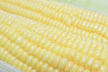 Fresh peeled sweet corns