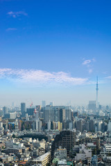 Naklejka premium Cityscapes of tokyo in Fog after rain in winter season, Skyline of Bunkyo ward, Tokyo, Japan, Tokyo is the world's most populous metropolis and is described as command centers for world economy.
