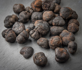 Black truffle mushroom background