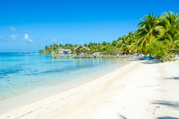 Belize Cayes - Small tropical island at Barrier Reef with paradise beach - known for diving,...