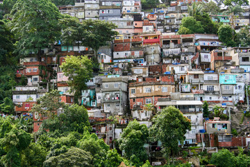 Fototapeta premium The favela in Rio de Janeiro, Brazil