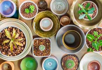 Ceramic bowls prepared to use for houseplant pot