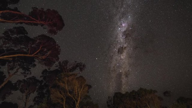Time lapse of milky way rotation above Australian trees
