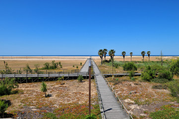 Plage de Figueira la Foz