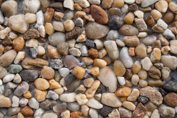 Pebbles from the bottom of the river