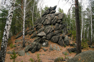 mountain of stones, pine forest, mountain slope