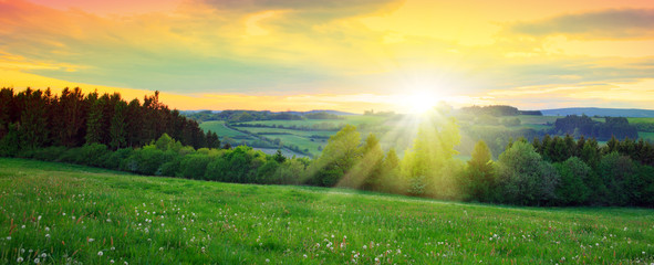 Obraz na płótnie Canvas Sunset over the green large field.
