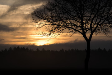 Fototapeta premium Sonnenaufgang