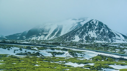 Iceland bad weather snow and fog mountaitn background, green moss field