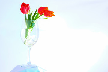 A glass of red tulips.