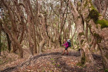 Obraz premium Trekker in the forest on the way to Annapurna base camp, Nepal