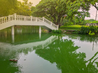 beautiful concrete bridge cross the pond