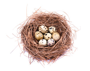 Naklejka na ściany i meble Quail eggs in a straw nest, isolated on white background.