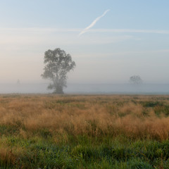 Fototapeta premium Westhavelland