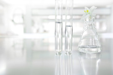 white orchid flower on glass flask and test tube in science cosmetic laboratory background