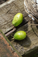 Unripened Green Tomatoes On A Wooden Board In The Garden On A Sunny Day. Shallow Depth Of Field. Close-Up.
